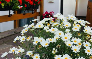 Residence Ravisa Dolomites - Foto 3