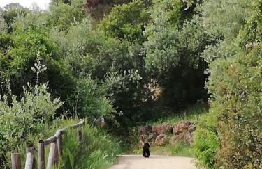 Gelvesturist free parking - Photo 45