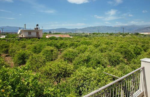 Orange Blossom Apartment - Foto 26