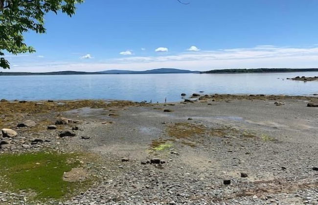 Mabel's Point - Brooklin - Photo 22