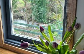 Shepherds hut, Eco, Log burner Hot tub NY moors - Foto 9