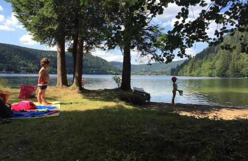 Charmant logis Gérardmer - Photo 28