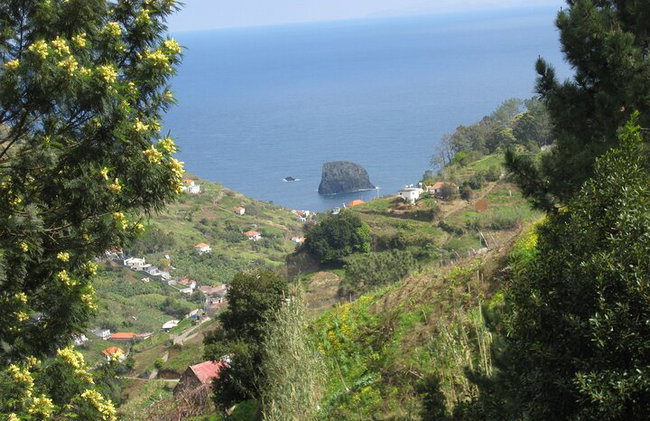 Caminata de 2 horas en Referta / Castelejo en la costa norte de Madeira - Foto 3