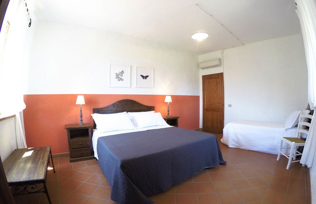 Boschi di Montecalvi - Foto 11