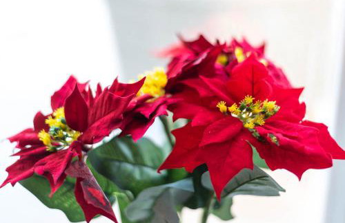 Amazing house W pool and big sunny terrace close to sea & beach - Photo 31