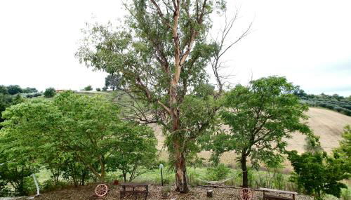 Manuel suites - Foto 4