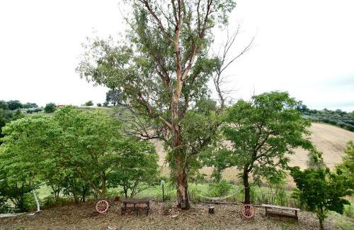 Manuel suites - Foto 4