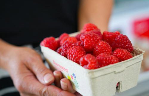 101-freiburg - Photo 10