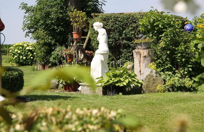 Ferienhof Fenzl - Foto 23