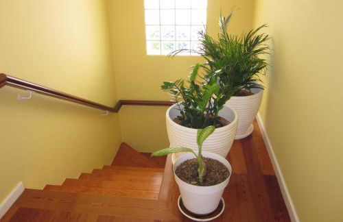 Villa Hansen in Garajau - Cristo Rei - Foto 39