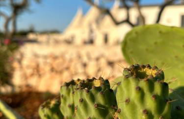 Trulli Enjoy - Foto 36