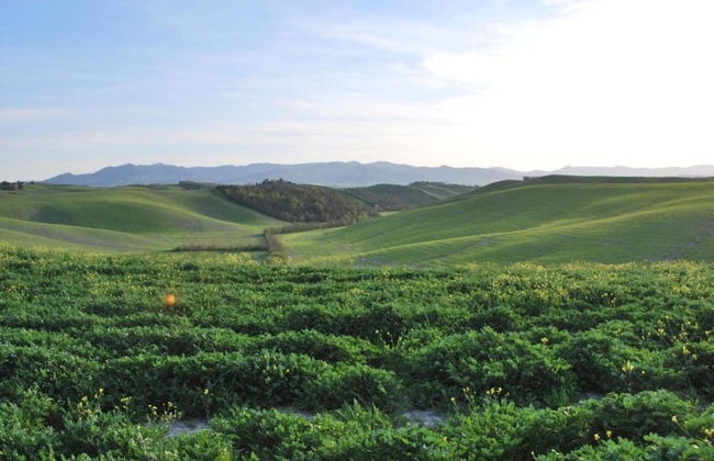 Beautiful Villa in Peccioli With Private Swimming Pool - Foto 69