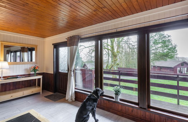 Bluebell Lodge 4 with Hot Tub - Photo 4