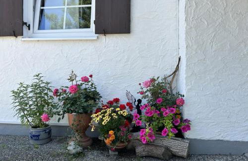 Landhaus Heck - Foto 17