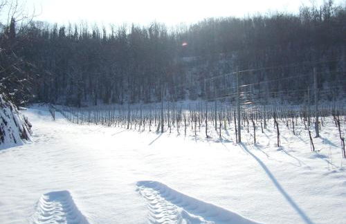 Agriturismo Cascina Rossano - Foto 78