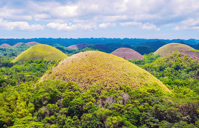 Visite des Chocolate Hills et rencontre avec les Tarsiers - Privé - Photo 1