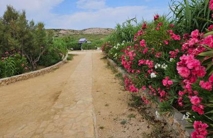 Relax Mobile Home, Terra Park SpiritoS - Photo 39