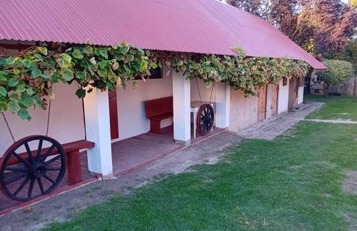 Agroturystyka Zielony Zakątek - Foto 35