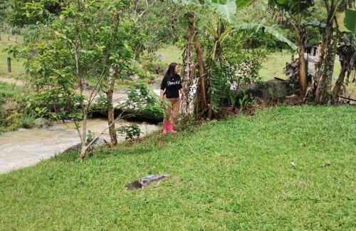 Sítio Vida - Photo 18