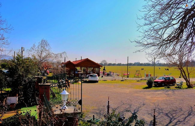 Ayvalık Sural Çiftliği Since 1899 - Foto 40