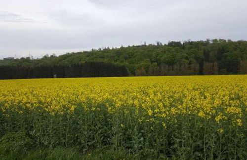 Wegeners Ferienwohnung - Foto 11