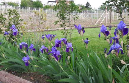 Casa Nalin - Photo 39