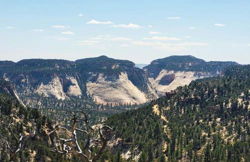 East Zion Mesa Retreat- Luxury, Hot Tub, Resort Amenities - Foto 55