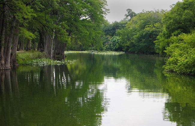 Mariposa Monarch Walk to River - Foto 22