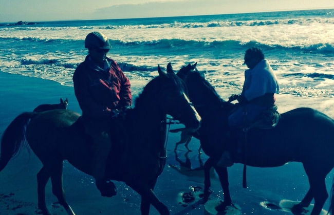 Welcome to Scandinavia Hotel B b - Photo 10