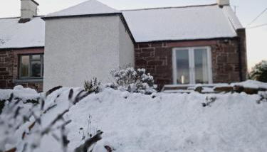 Number 2 - Photo 5, Garden