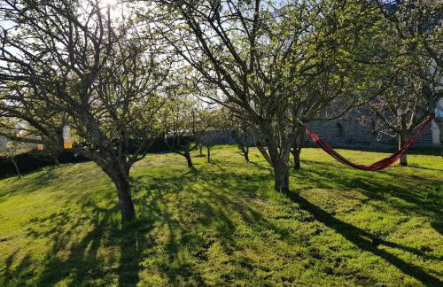 les saisonnières 18 personnes avec piscine - Foto 17