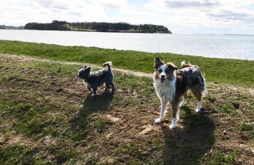 Ferienwohnung auf Rügen mit Boddenblick - Foto 36