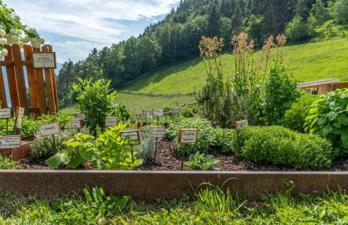 Moarhof in Oberbozen - Foto 25