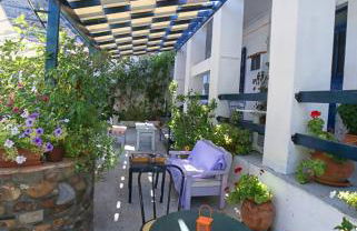 Plumeria Flowery - Foto 18