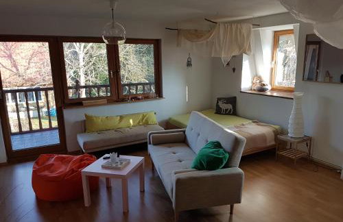 Kräuter-Heidi - Foto 8