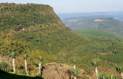 Fantástico Flat no Laje de Pedra Mountain Village - Foto 67
