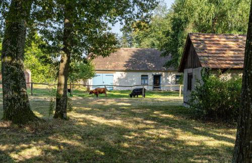 Ferienwohnung im Landschloss - Foto 32