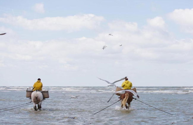 Holiday Home in Koksijde Near Sint-andre Beach - Foto 33