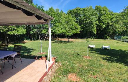 Tiny house Dora - Foto 7