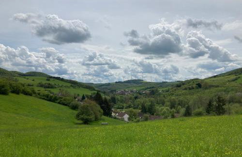 tiny house Pfalz Wellness und Wanderurlaub - Foto 40