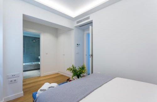 Apartamentos RG Plaza de España - Foto 28