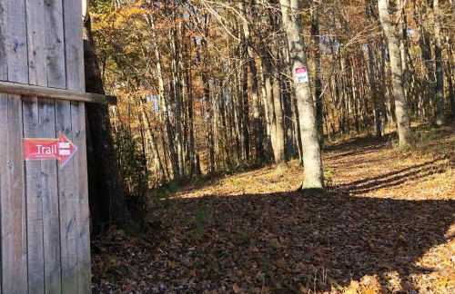 Home in the Heart of W.V. Adventure Country! - Photo 65