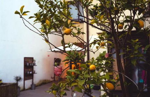 Spacious House in Porto + Garden - Foto 22