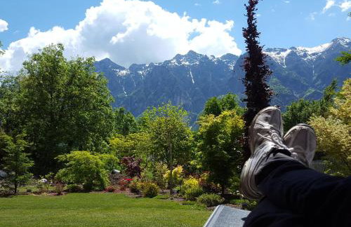 Masetto Egidio Eco-Agritur - Foto 16