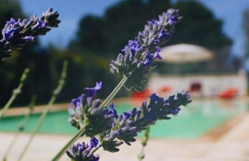 Villa CICIA - Foto 20