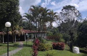 Sítio há 10 mim da Rota do Vinho - Foto 13