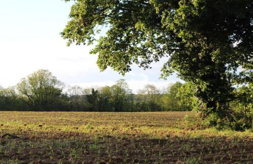 La maison de Demeter, 10 min d'Eugénie, calme des Landes Intérieures - Foto 30