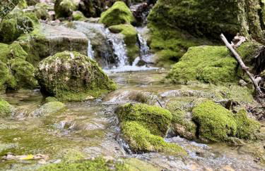 Caseta de Caro Vergés&Forés - Foto 34