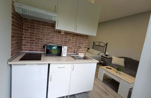 Apartamentos El Puntual - Photo 35