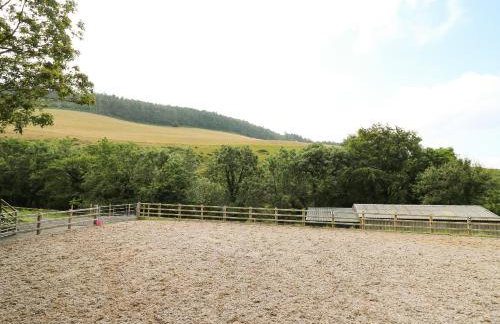 Caban Glas - Foto 20